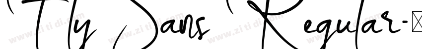 Fly Sans Regular字体转换